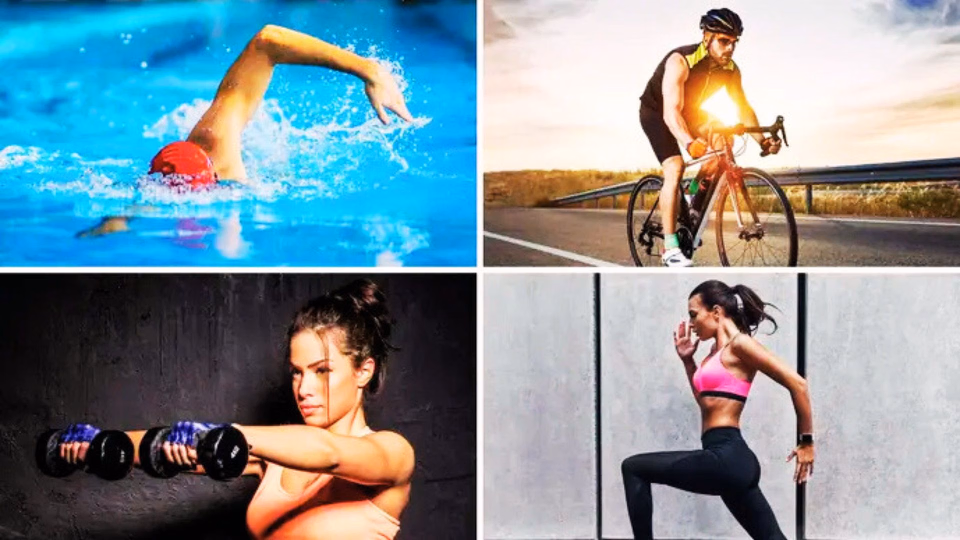 Importance of Physical Fitness in Sports Performance